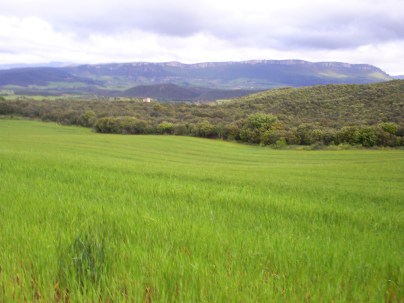 SAMSUNG DIGIMAX A503