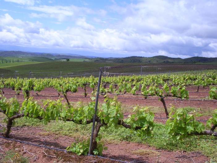 SAMSUNG DIGIMAX A503